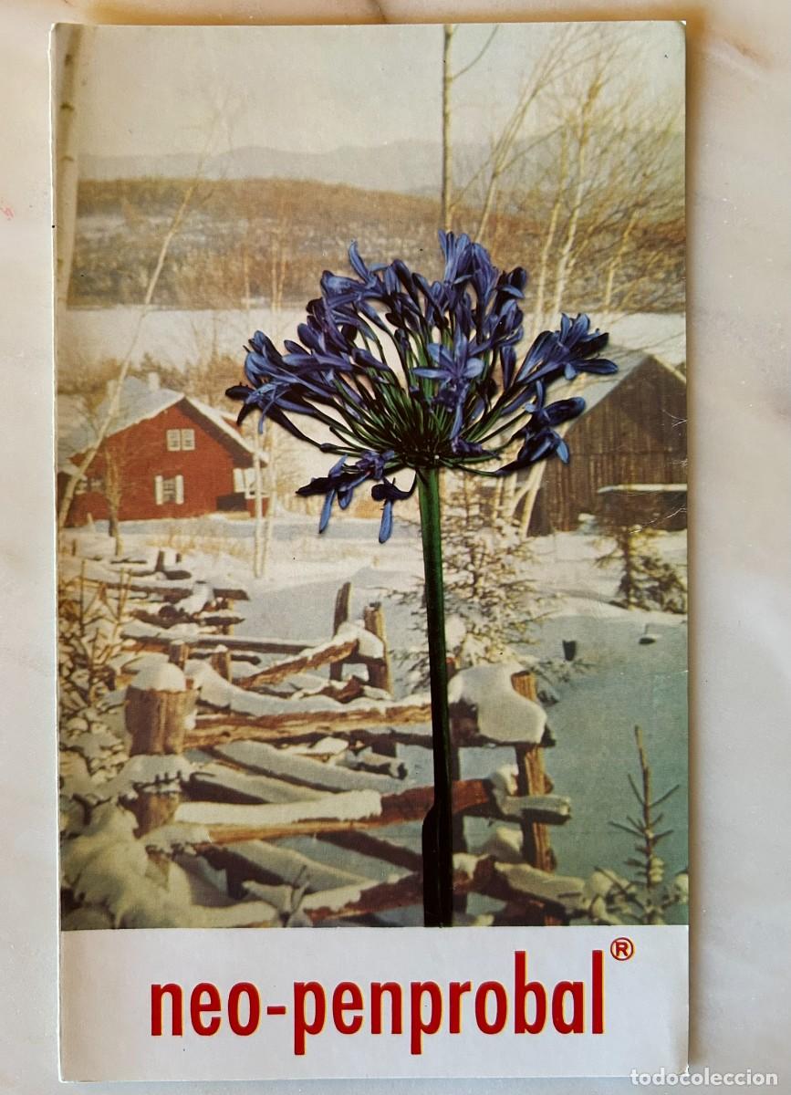 Coleccionismo: FLOR DE AGAPANTO AZUL CON FONDO DE IMAGEN RURAL NEVADA - L&Aacute;MINA PUBLICITARIA NEO-PENPROBAL MADE 1975