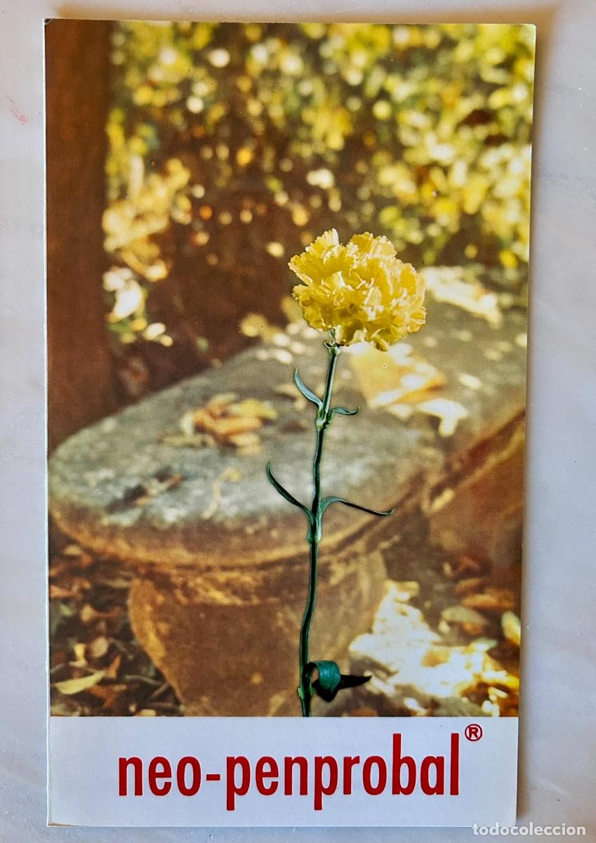 Coleccionismo: CLAVEL AMARILLO CON FONDO DE IMAGEN DE BANCO DE PIEDRA - L&Aacute;MINA PUBLICITARIA NEO-PENPROBAL MADE 1975