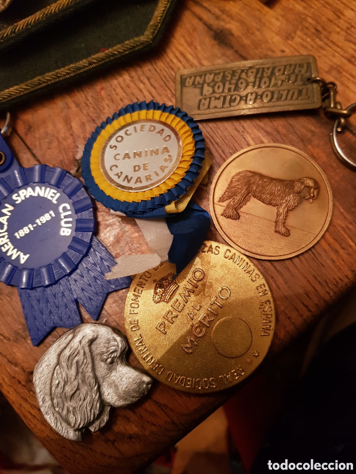 Coleccionismo: LOTE DE PREMIOS CANINOS - Foto 2