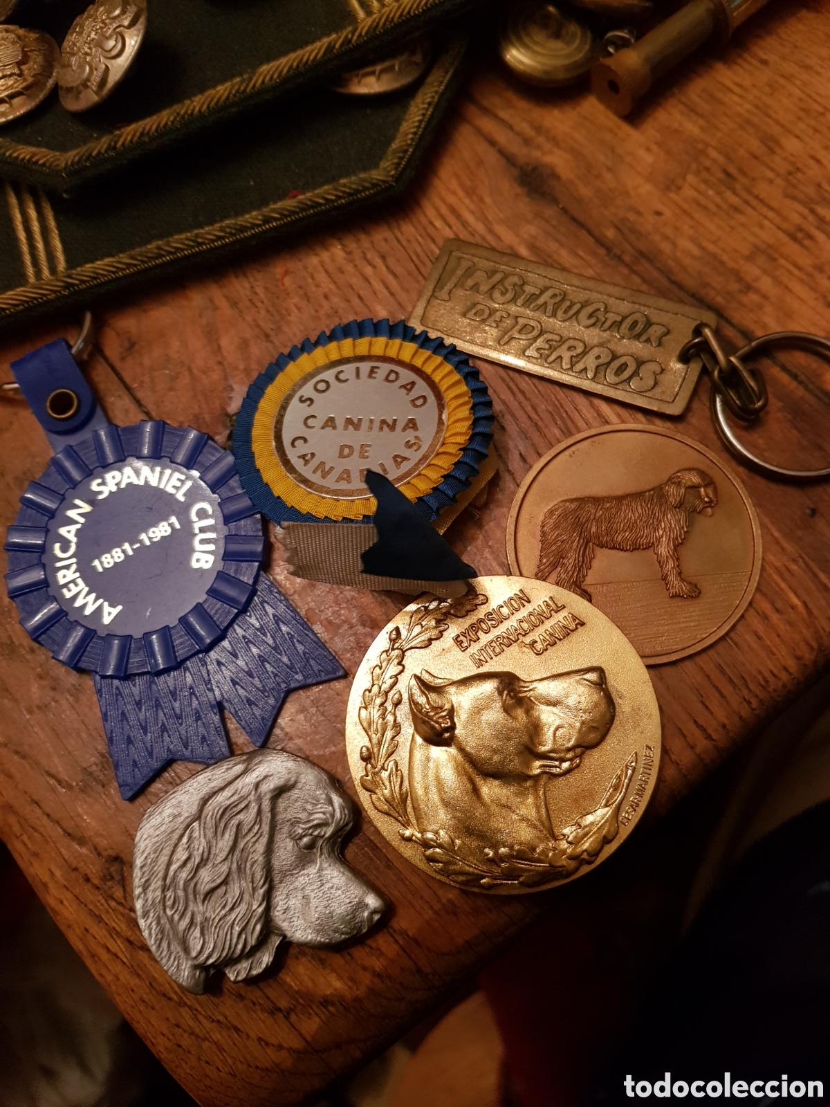 Collezionismo: LOTE DE PREMIOS CANINOS