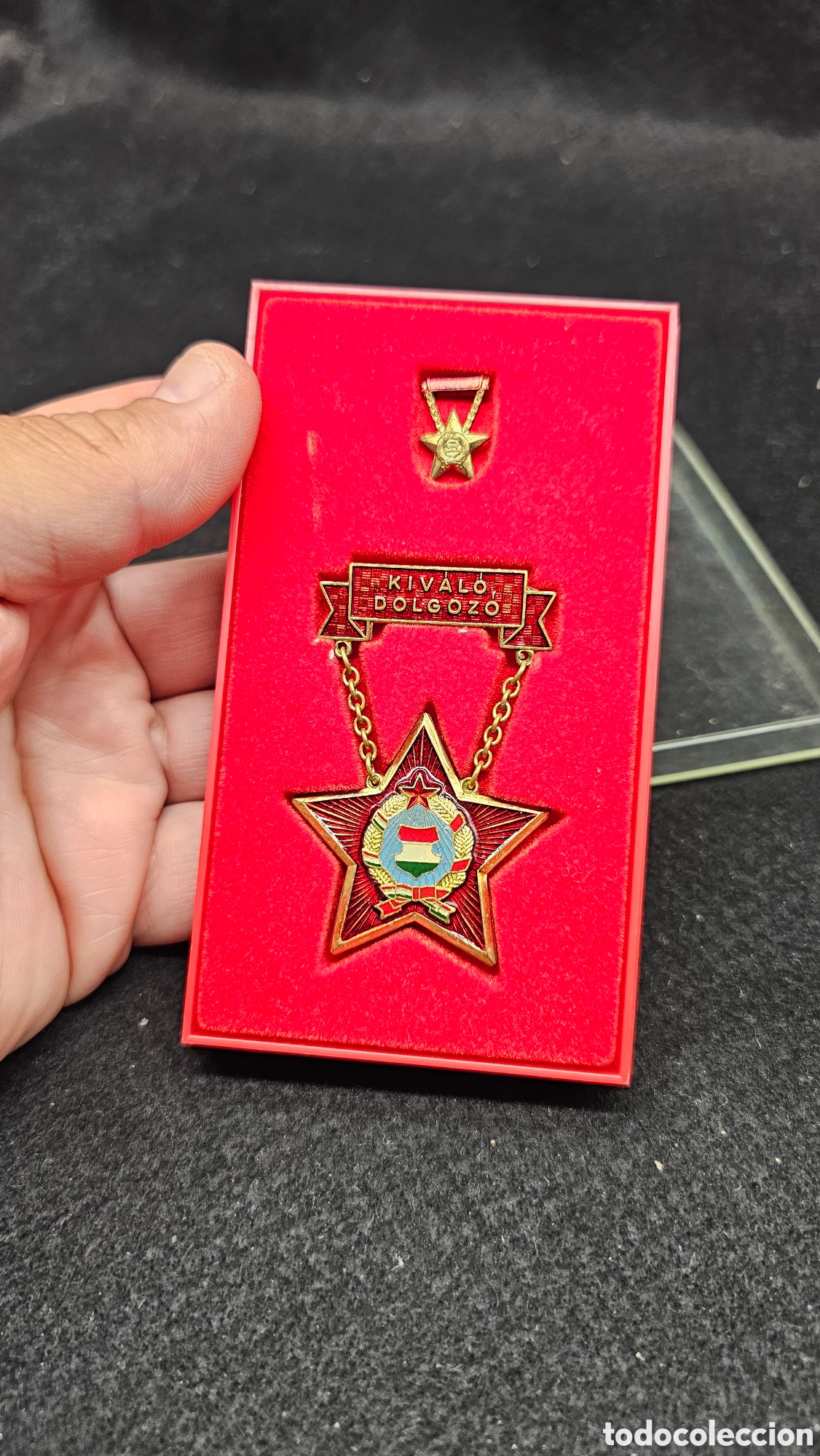 Sammeln: medalla h&uacute;ngara de Trabajador Distinguido d&eacute;cada de los 50 /60