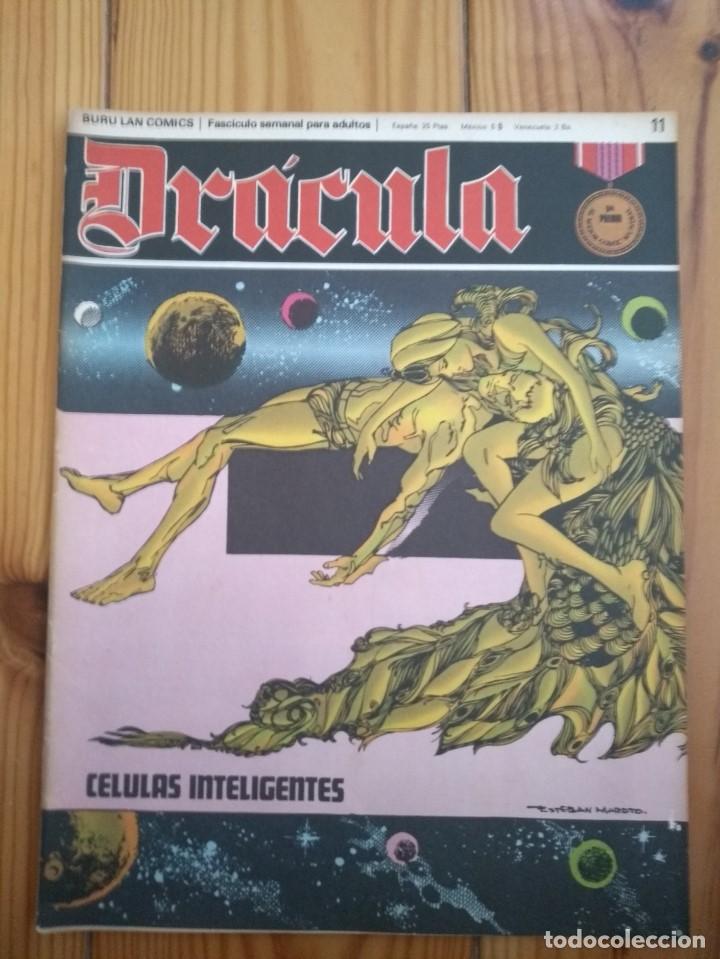 Cómics: Drácula colección casi completa - Falta el 60 - Cinco por Infinito & Delta 99 - Foto 11 - 207460936
