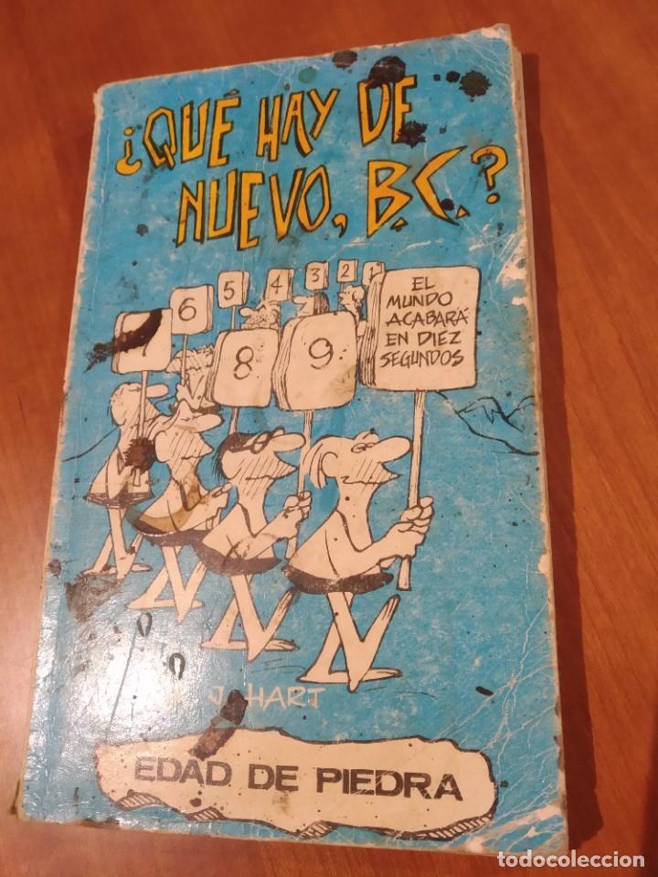 C&oacute;mics: Edad de Piedra J. Hart Ed. Buru Lan - Foto 1