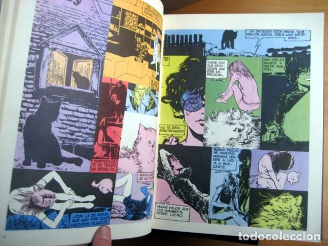 C&oacute;mics: Dr&aacute;cula, 6 tomos, Buru Lan - Foto 5
