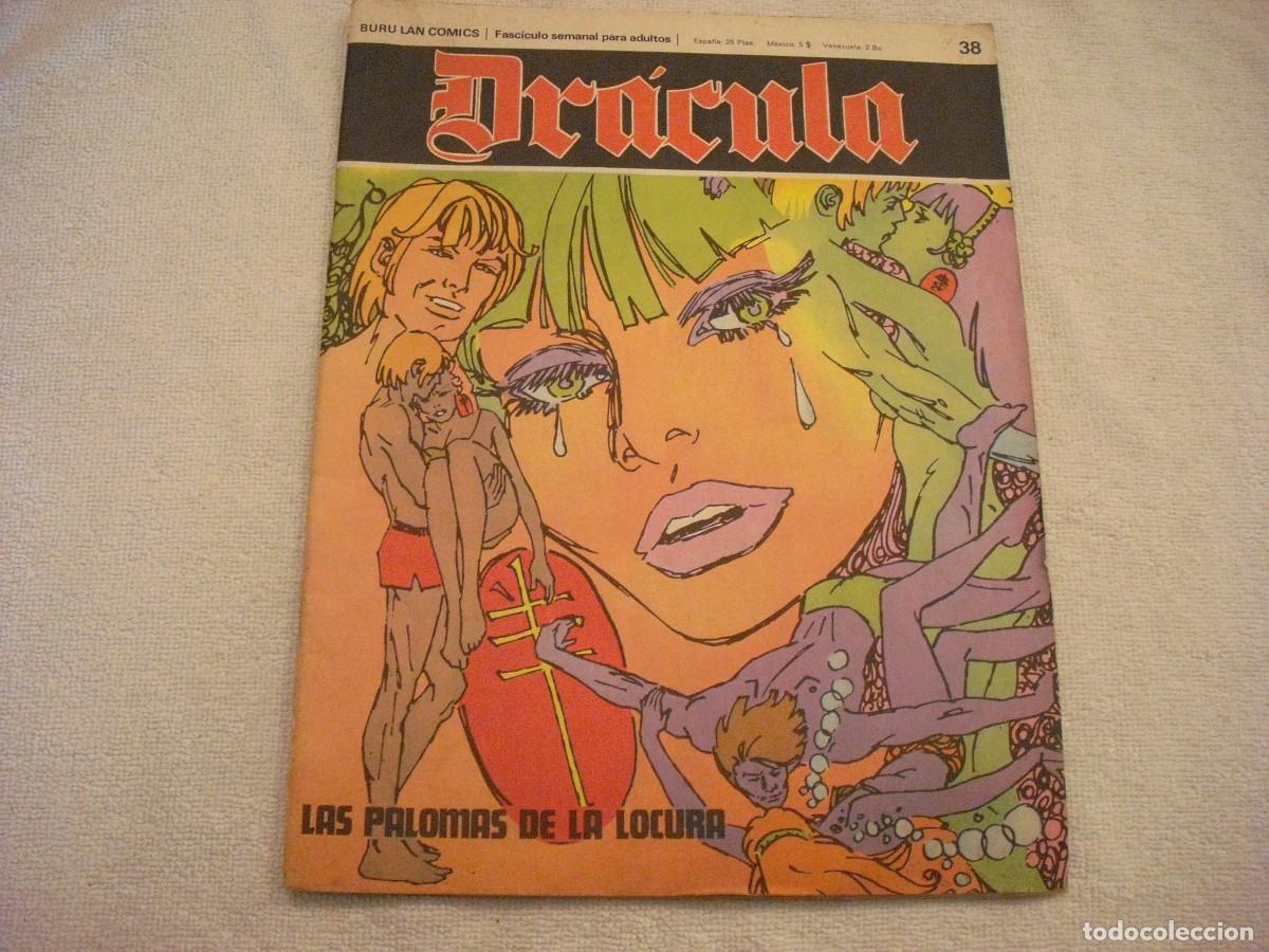 C&oacute;mics: DRACULA N. 38 , PALOMAS DE LA LOCURA - Foto 1
