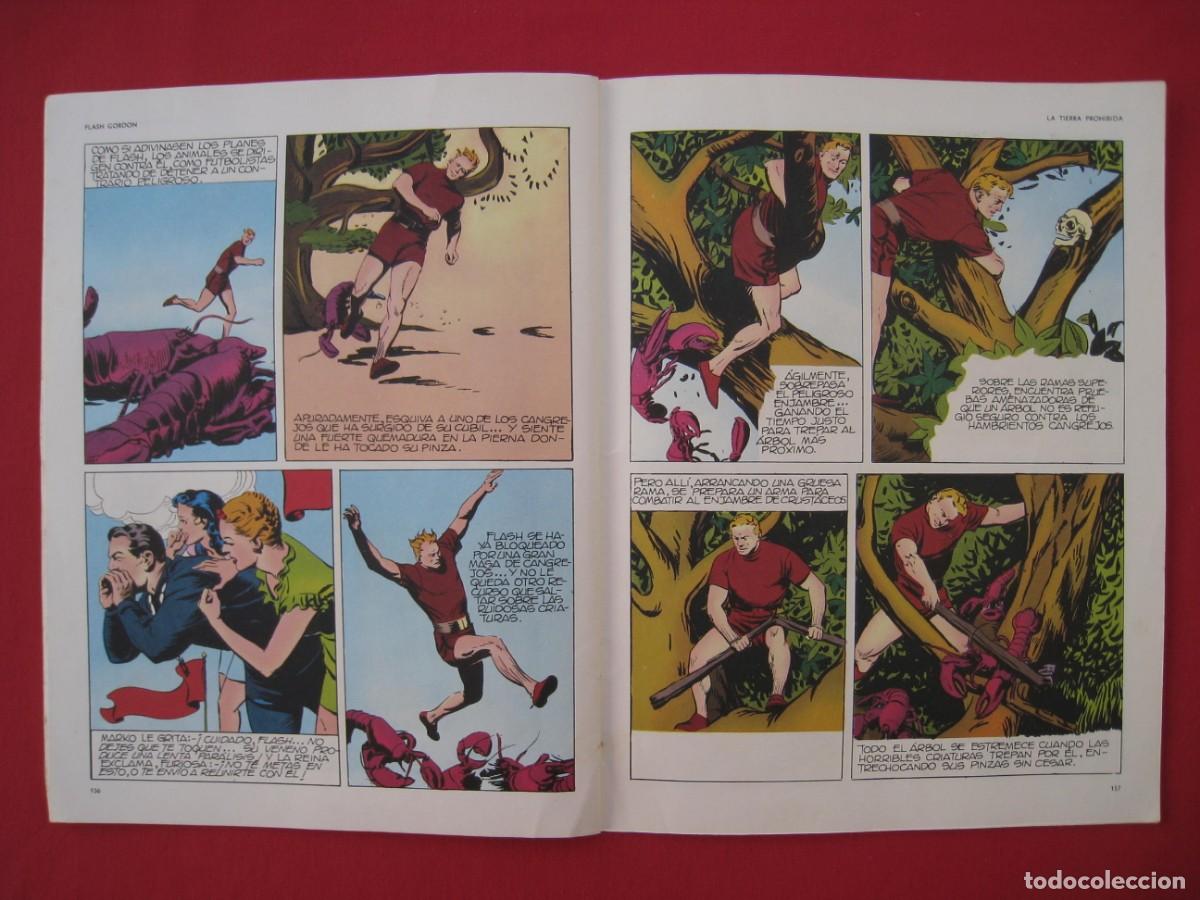 C&oacute;mics: HEROES DEL COMIC - FLASH GORDON - N&ordm; 32 - EDICIONES BURU LAN. - Foto 11