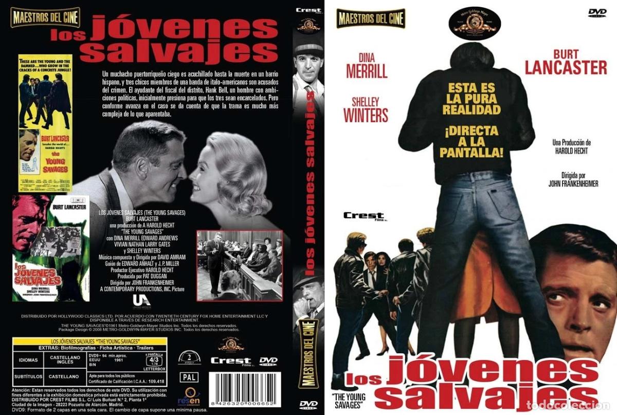 Comics : Los J&oacute;venes Salvajes [DVD]