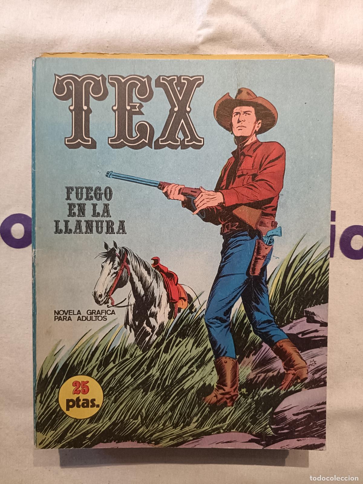 C&oacute;mics: Tex - n&ordm; 17, Fuego en la llanura - Buru Lan Ediciones