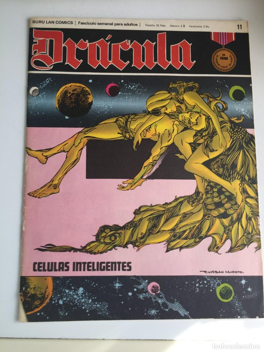 C&oacute;mics: COMICS DRACULA N&ordm; 11 - EL DE LAS FOTOS VER TODOS MIS TEBEOS Y COMICS