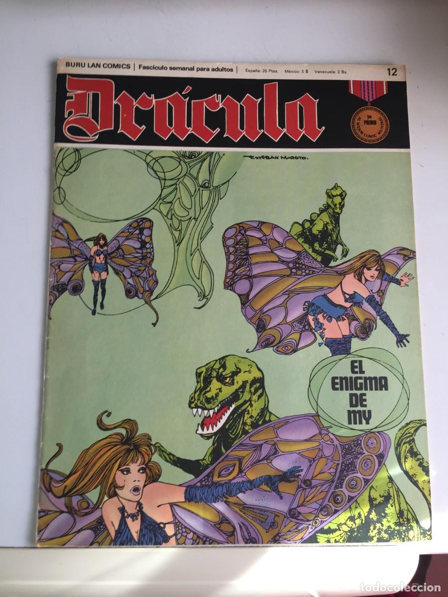 C&oacute;mics: COMICS DRACULA N&ordm; 12 - EL DE LAS FOTOS VER TODOS MIS TEBEOS Y COMICS