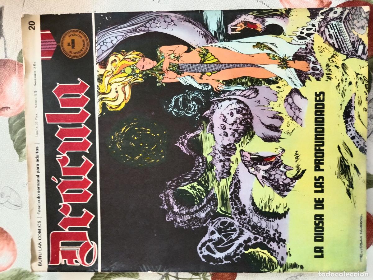 C&oacute;mics: Dr&aacute;cula Buru Lan - lote n&ordm; 20 y 24