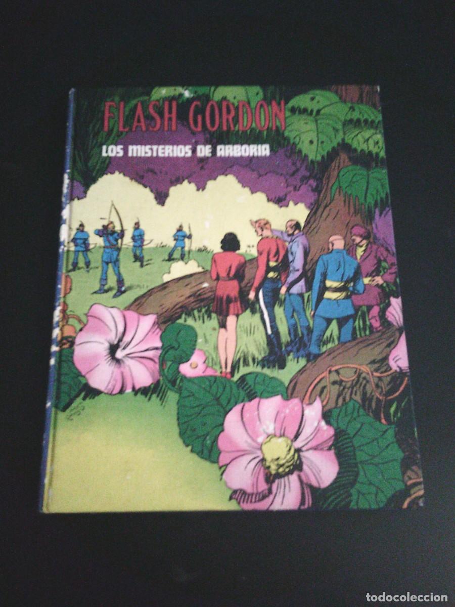 C&oacute;mics: FLASH GORDON - TOMO II - LOS MISTERIOS DE ARBORIA - BURU LAN EDICIONES - CJ 136 (2)
