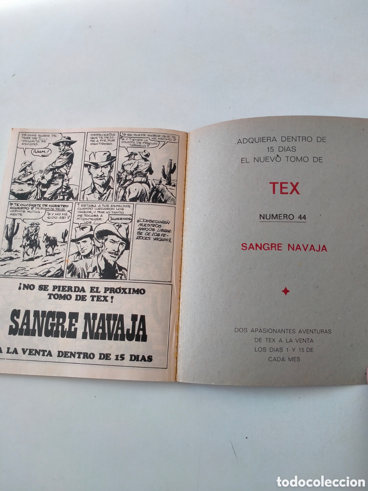 C&oacute;mics: TEX N&Uacute;MERO 43 BURU LAN EDICIONES A&Ntilde;O 1972 - Foto 10