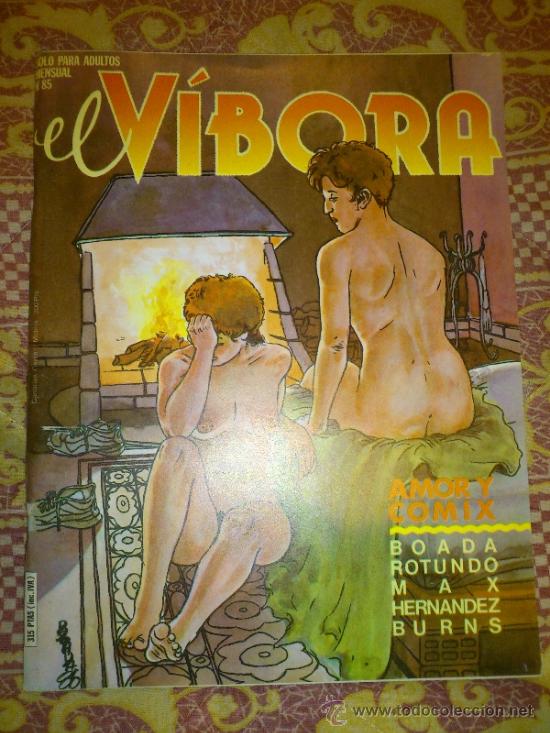 C&oacute;mics: EL V&Iacute;BORA N&ordm; 85 LA C&Uacute;PULA -D3 - Foto 1