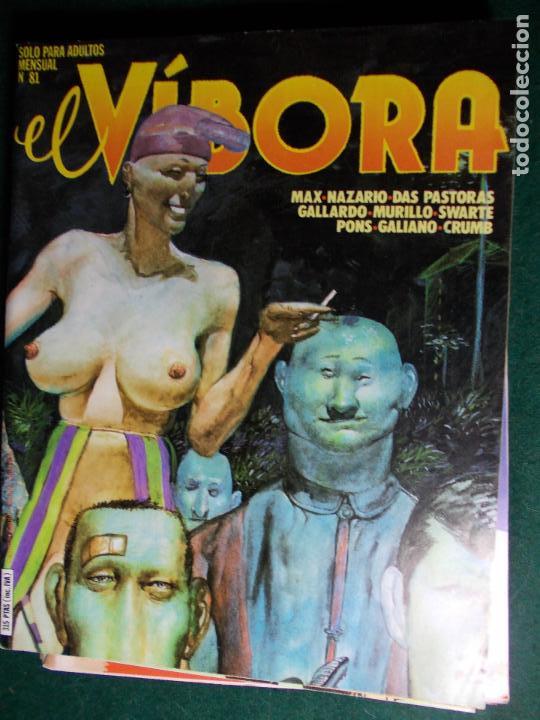 C&oacute;mics: C&oacute;mic V&iacute;bora numero 81 - Foto 1