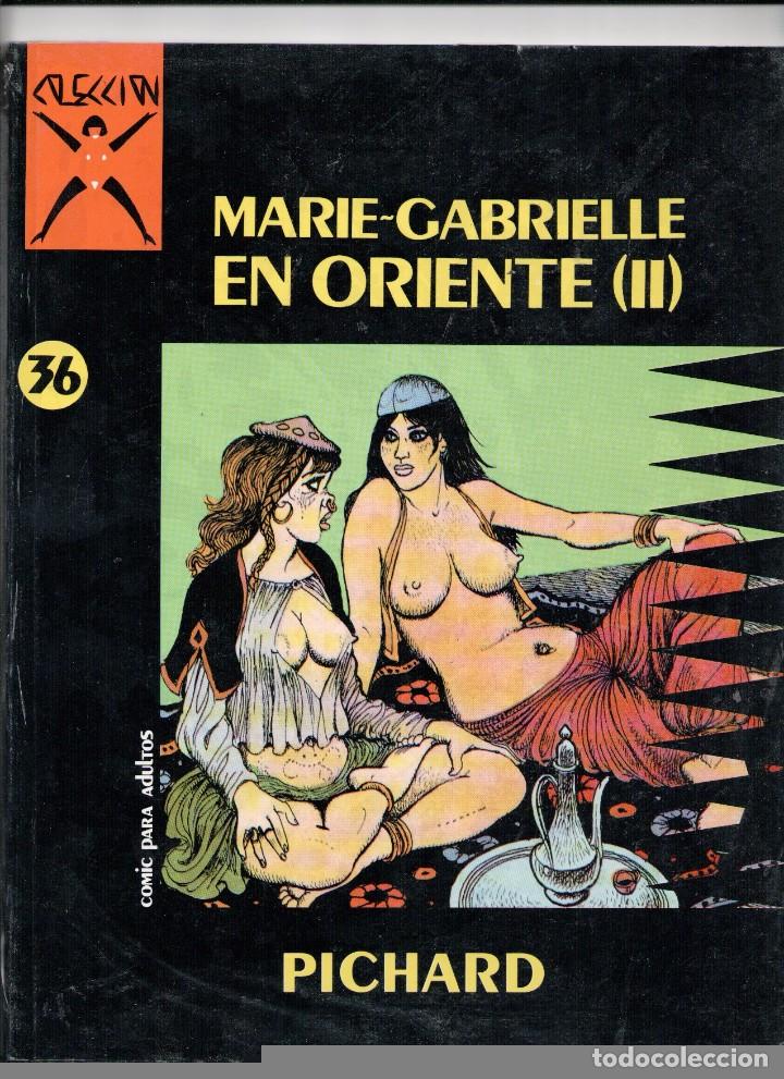 C&oacute;mics: COLECCI&Oacute;N X N&ordm; 36 NUEVO,SIN ABRIR. - Foto 1