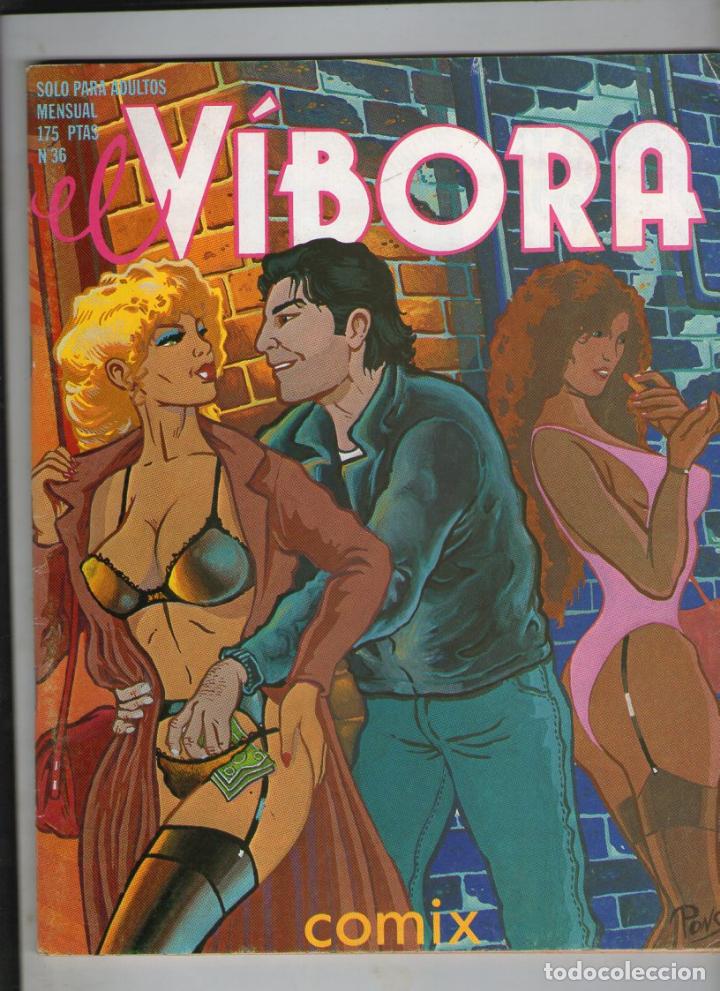 C&oacute;mics: EL V&Iacute;BORA N&ordm; 36. -B6 - Foto 1