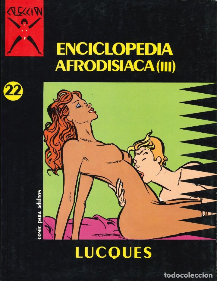 C&oacute;mics: COLECCI&Oacute;N X - EDICIONES LA C&Uacute;PULA / N&Uacute;MERO 22 - Foto 1