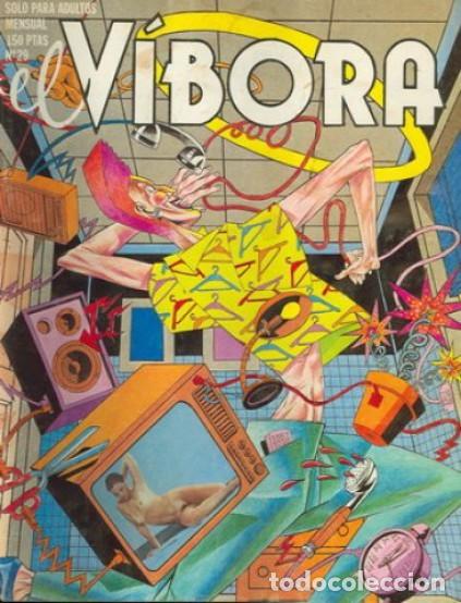 C&oacute;mics: EL V&Iacute;BORA N&ordm; 29 - Foto 1
