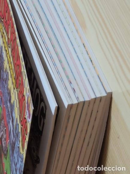 C&oacute;mics: WONDERWART-HOG EL SUPERSERDO - LOS 8 PRIMEROS NUMEROS DE 9 EJEMPLARES - EDICIONES LA CUPULA - Foto 3