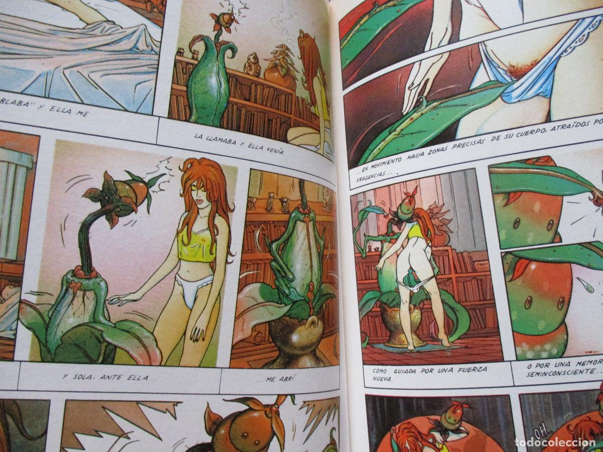 C&oacute;mics: EDICIONES LA C&Uacute;PULA / LA FLOR ENAMORADA &middot; SILVIO CADELO 1990 - Foto 3