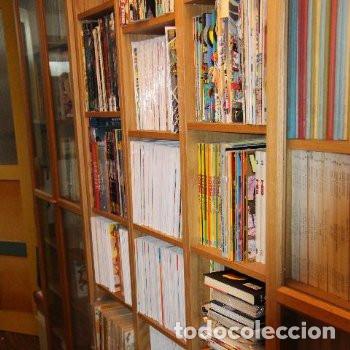 C&oacute;mics: (RESERVADA) COLECCI&Oacute;N COMPLETA DEL VIBORA 2 DE 7 - (55 N&Uacute;MEROS APROX.) - Foto 1