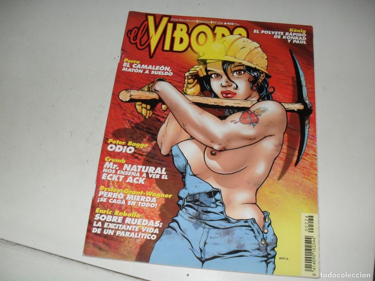 C&oacute;mics: EL VIBORA N&ordm;224 ,(DE 277).LA CUPULA,1979.BE - Foto 1