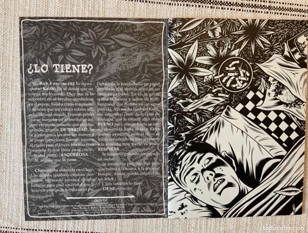 C&oacute;mics: Agujero Negro 2, Charles Burns. - Foto 2