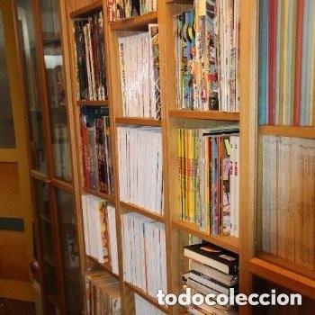 C&oacute;mics: (RESERVADA) COLECCI&Oacute;N COMPLETA DEL VIBORA 6 DE 7 - (55 N&Uacute;MEROS APROX.) - Foto 1
