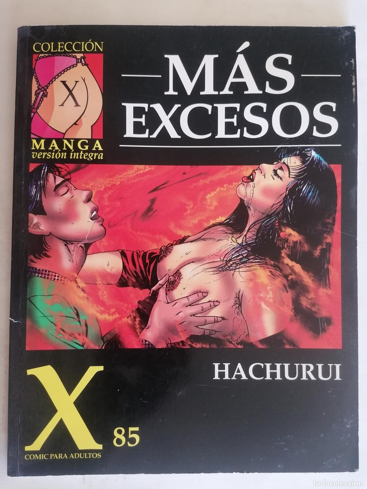 C&oacute;mics: MAS EXCESOS DE HACHURUI, COLECCION MANGA, N&ordm; 85 - Foto 1