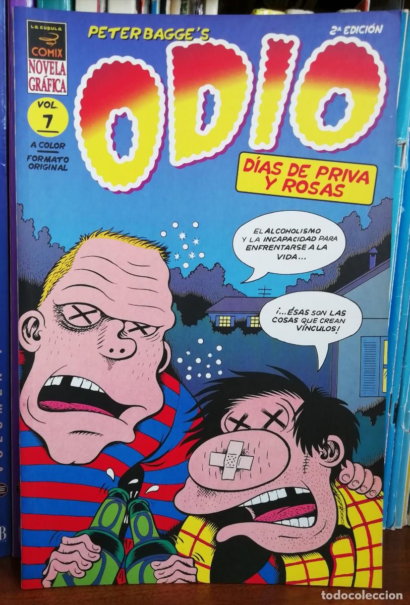 C&oacute;mics: ODIO vol.7 -Dia de priva y rosas - Foto 1