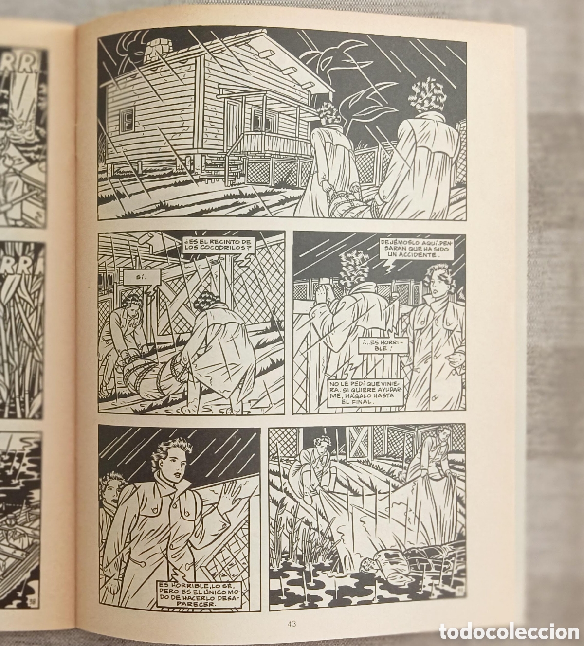 C&oacute;mics: Hurac&aacute;n - Baldazzini - Foto 4