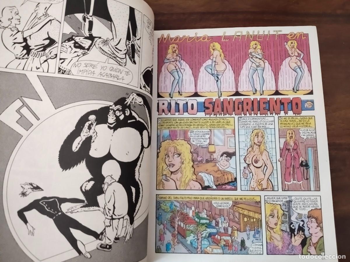 C&oacute;mics: C&oacute;mic El V&iacute;bora. N&uacute;mero 17 a&ntilde;o 1981. - Foto 2