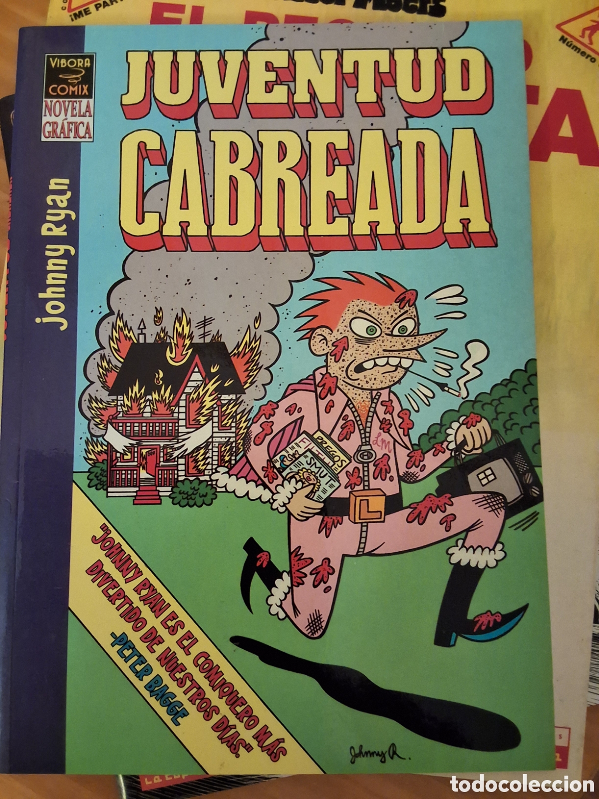 C&oacute;mics: Juventud cabreada comic de J. Ryan a&ntilde;o 2004 edicion 1&deg; edita la cupula - Foto 1