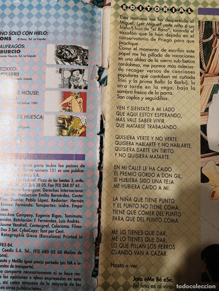 C&oacute;mics: C&Oacute;MIC EL V&Iacute;BORA N&ordm;151 - Foto 3