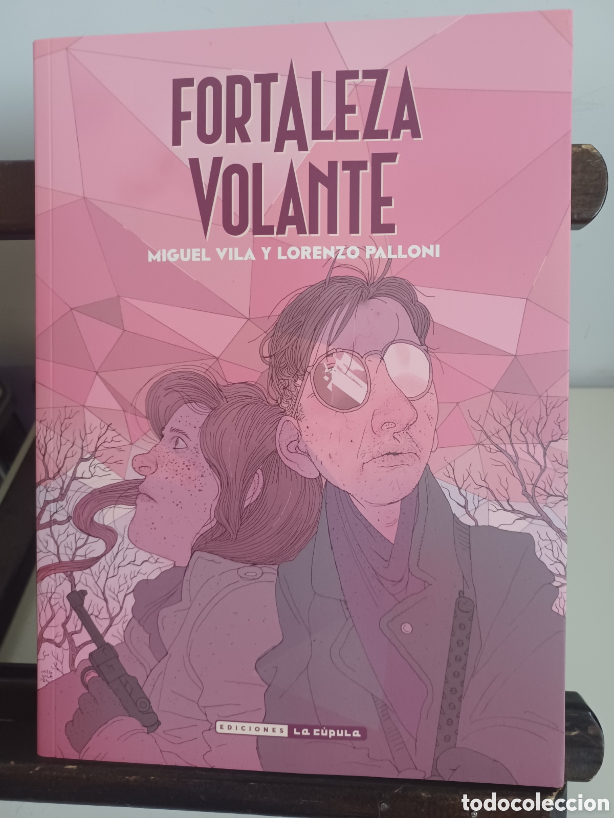 C&oacute;mics: Fortaleza volante/ Miguel Vila & Lorenzo Palloni/ La C&uacute;pula/ NUEVO A ESTRENAR