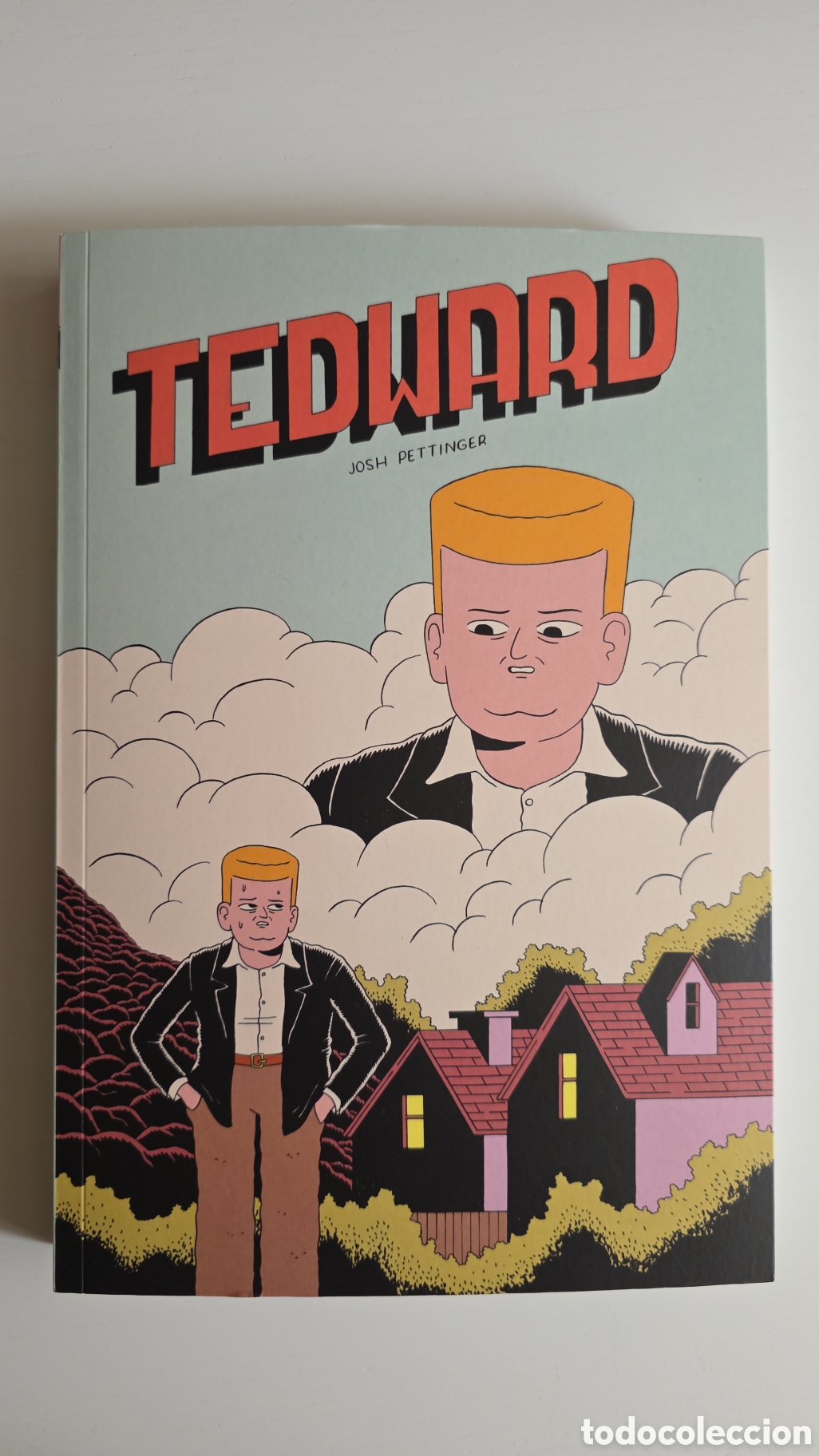C&oacute;mics: Tedward, de Josh Pettinger
