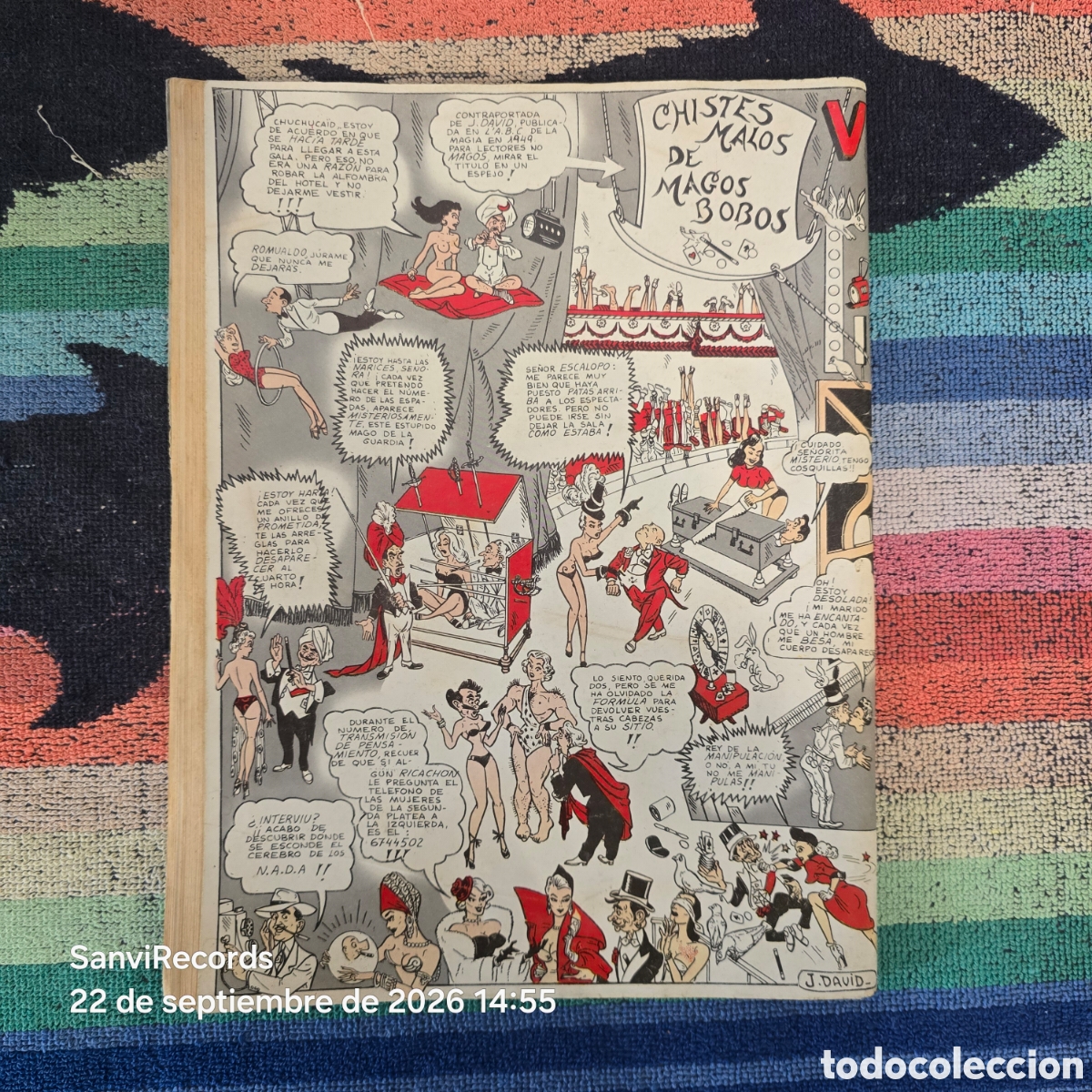 C&oacute;mics: EL V&Iacute;BORA 4 (LA CUPULA) - Foto 2