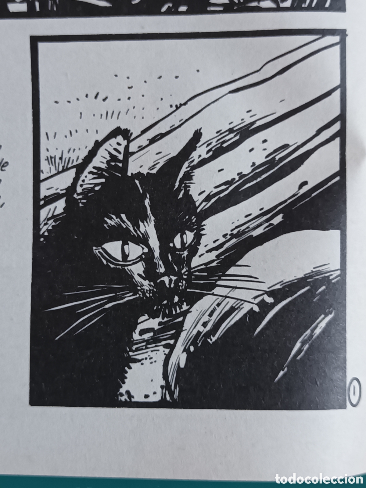 C&oacute;mics: Historias completas de El V&iacute;bora N&ordm; 14 LA CUPULA 1988 Don Cipot&oacute;n Boada - Foto 3