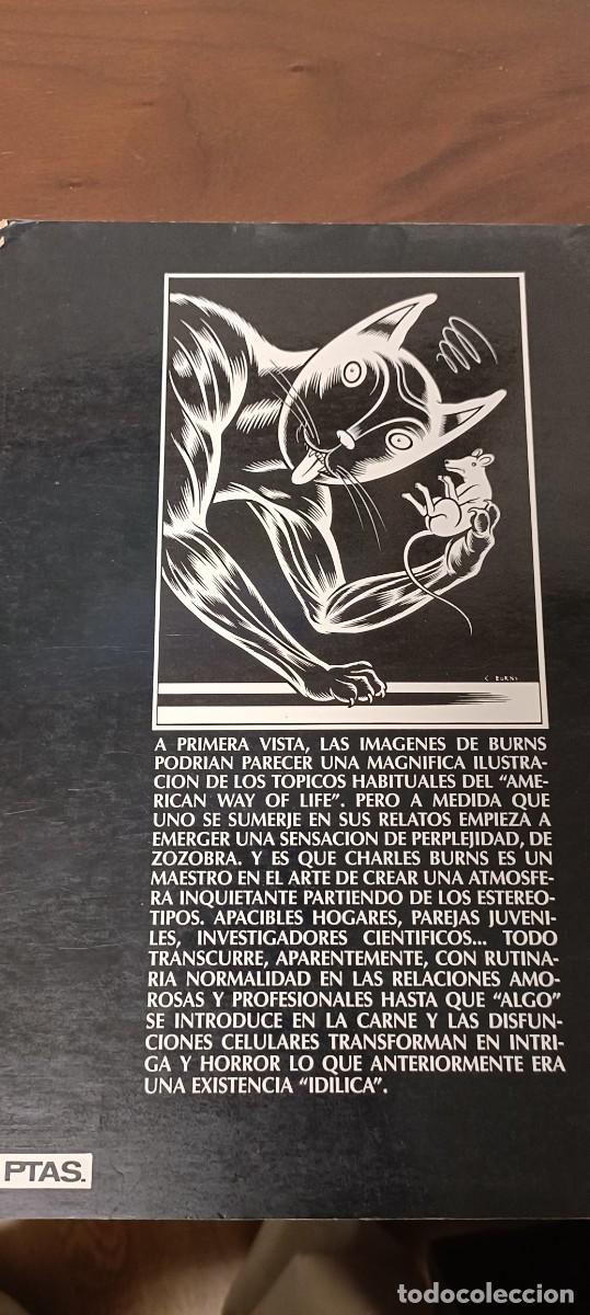 C&oacute;mics: Misterios de la carne - Foto 4