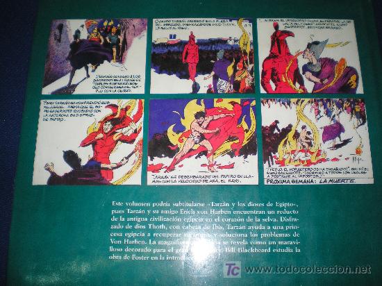 C&oacute;mics: TARZAN. VOLUMEN 2(1932-1933) - EDICIONES B - CON SOBRECUBIERTA - Foto 6