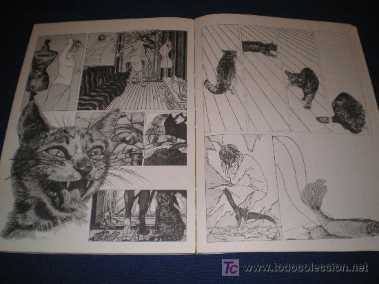 C&oacute;mics: EXPRESI&Oacute;N FANTASTICA - JOVEN COMIC ESPA&Ntilde;OL - EDICIONES B 1979 - Foto 4