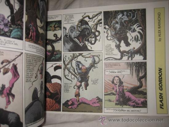 C&oacute;mics: FLASH GORDON  N&ordm; 6  EDICIONES B 1988    EDICION HISTORICA - Foto 2