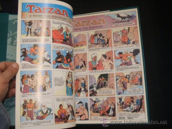 C&oacute;mics: TARZAN EN COLOR - VOLUMEN 1 - EDICIONES B -  - - Foto 3