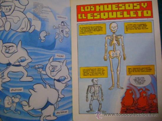 C&oacute;mics: &Eacute;rase una vez la vida 19 Huesos y esqueleto - Foto 3