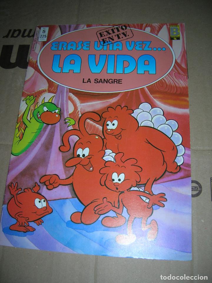 C&oacute;mics: Erase una vez... La Vida. N&ordm; 5 La sangre. Ediciones B, a&ntilde;o 1987. - Foto 1