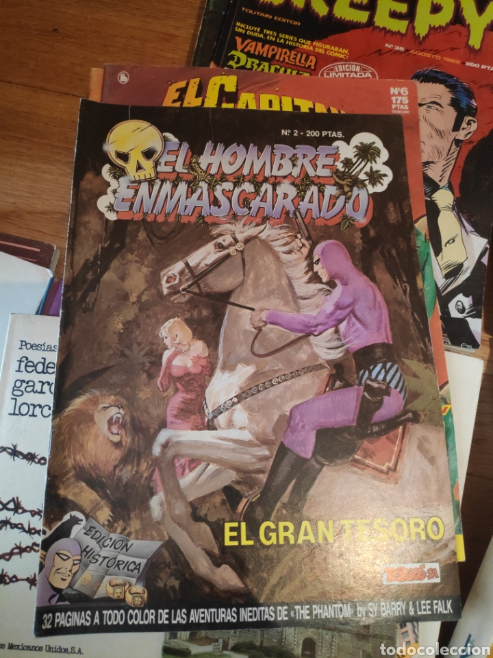 C&oacute;mics: El hombre enmascarado el gran tesoro 2 - Foto 1