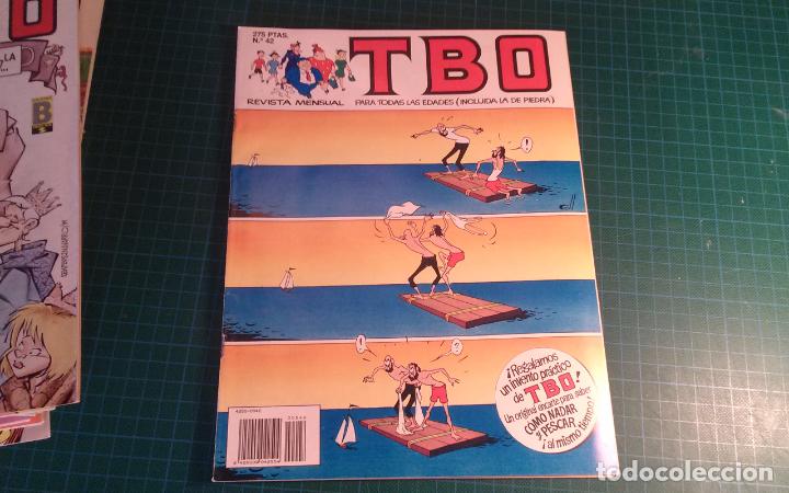 C&oacute;mics: Tbo n&deg; 42. Ediciones b. (M-12) - Foto 1