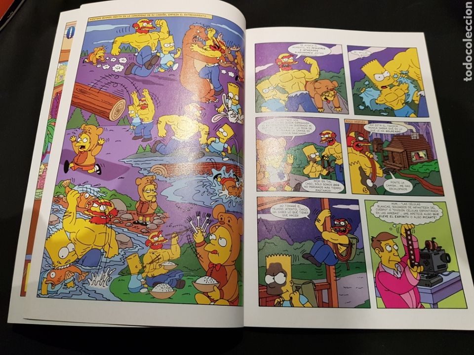 C&oacute;mics: PEDIDO M&Iacute;NIMO 10&euro; + ENV&Iacute;O Simpson. Orgullo y disciplina. Ediciones B. 2004 - Foto 4