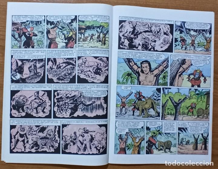 C&oacute;mics: JABATO EL AMO DE LAS FIERAS - 2003 EDICIONES B DE KIOSKO. - Foto 5